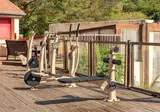 Camping Le Val D Ussel foto 8