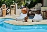 Sunrise Hotel Ireon foto 10