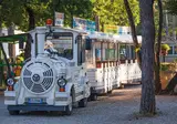 Camping Village Mare Pineta foto 13