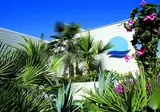 Premier & Suites foto 21