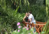 Pinewood Beach Resort & Spa foto 18
