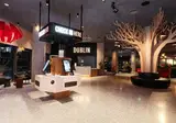 Marlin Hotel Dublin foto 11