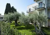 Collina foto 28