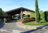 Piantelle foto 11