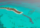 Joy Island - The Cocoon Collection foto 9