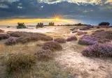 Soeren Lounge - Veluwe foto 22