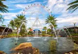 Florida Sunshine foto 5