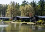 Vakantiepark Molenvelden foto 4