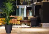 Hotel Malcom & Barret foto 10