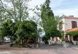 Appartementen Lela Kaptani Eftalou Olive Grove foto 25