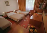 Hotel Srbija A.D. foto 5
