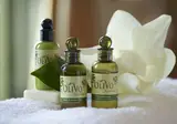 Thermae Sylla Spa Wellness Hotel foto 27