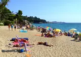Cala Gogo Internacional foto 26