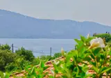 Villa Rustica Dalmatia foto 21