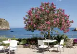 La Plage Resort foto 23