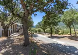 Camping Le Colomba foto 10