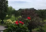 Golf Inn foto 5