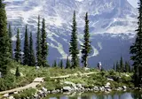 The Natural Wonders of Western Canada foto 3