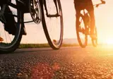 Fietsvakantie Antwerpse en Limburgse Kempen foto 19