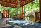 Nandini Jungle Resort & Spa foto 20