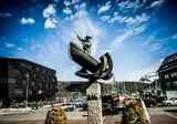 Ontdek Tromsø en de Noordkaap foto 24