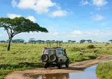 Explore the Great Nature of Tanzania foto 1