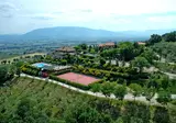 Il Poggio degli Olivi foto 13