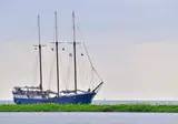 Fiets- en vaarvakantie Waddenzee foto 6