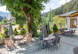 Bad Neunbrunnen am Waldsee foto 3
