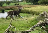 Camping Himmerland foto 8