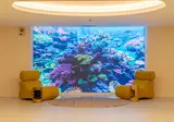 Pestana Alvor Park Beach Aparthotel foto 6