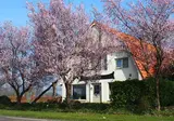B&B Sagenland foto 1
