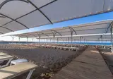 Sensitive Premium Resort & Spa foto 2