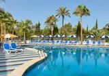 Tent Mojito Suites foto 5