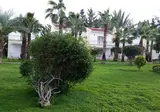 Mountain View Hotel foto 12