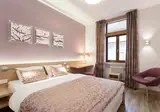 Hotel Carol foto 1