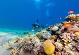 Startpakket Zanzibar foto 3