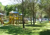 Belvedere Pineta foto 11