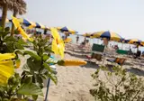 Long Beach Village foto 10
