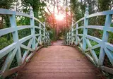 8 daagse wandelreis Ierland Wicklow Way foto 4
