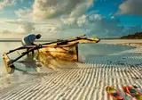 12 daagse safari Noord Tanzania & Zanzibar foto 2