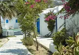 Ammos Mykonos foto 1