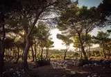 Tramonto Di Roccia foto 24