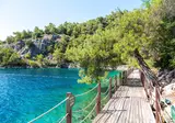 Hillside Beach Club foto 9
