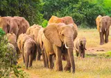 12 daagse safari Selous & Zanzibar foto 4