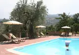 Tenuta Ciminata Greco foto 17