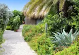 Red Palm Village foto 21