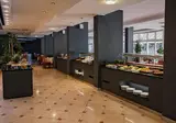 Mimosa Lido Palace Hotel foto 4