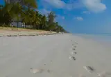 Papillon Lagoon Reef foto 27