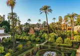 Ontdek Andalusië in 8 dagen foto 14